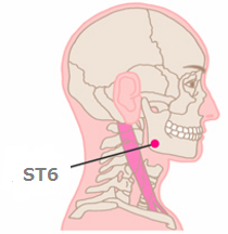 Acupoints for Facial nerve paralysis